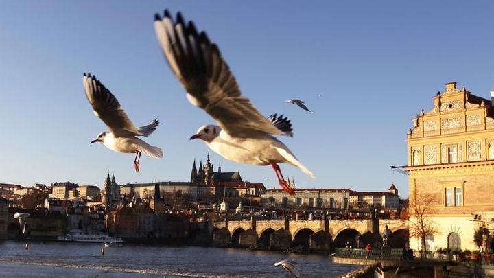 Zahraniční turisté v Česku loni utratili 202 miliard korun