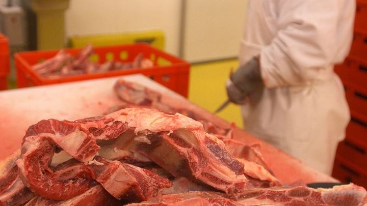 Výkupní cena vepřového masa spadla od léta o pětinu